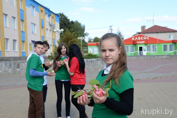 Активисты Крупского БРСМ дарили яблоки горожанам во время акции «Наш год – наш выбор!»