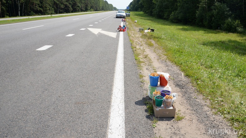 Несанкционированная торговля на автодороге Минск-Брест-граница РФ