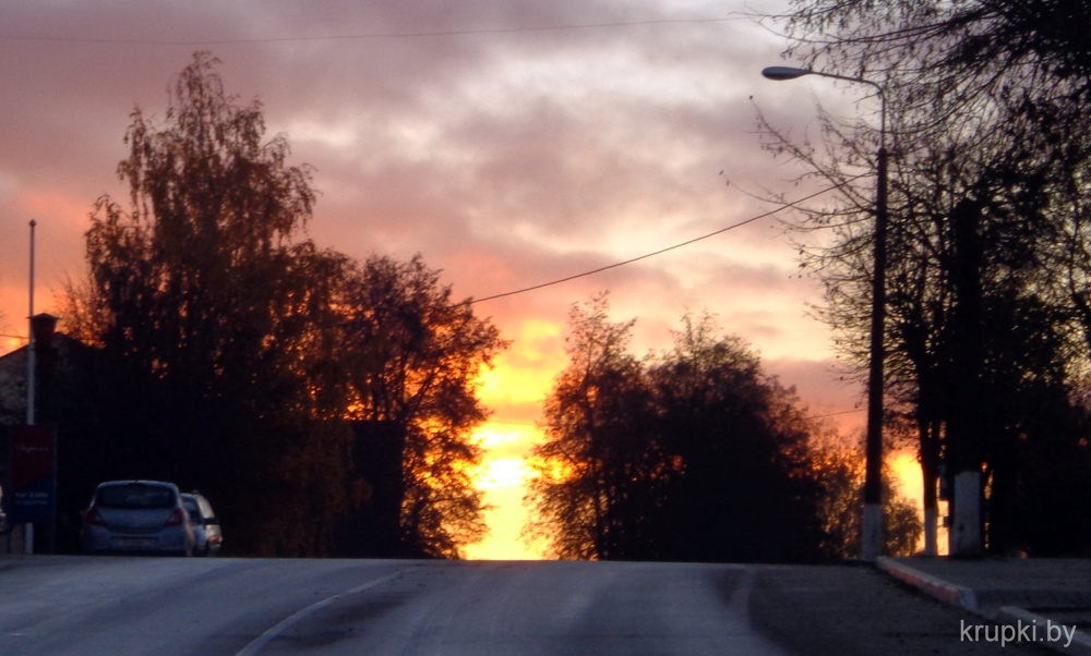 000_003.jpg