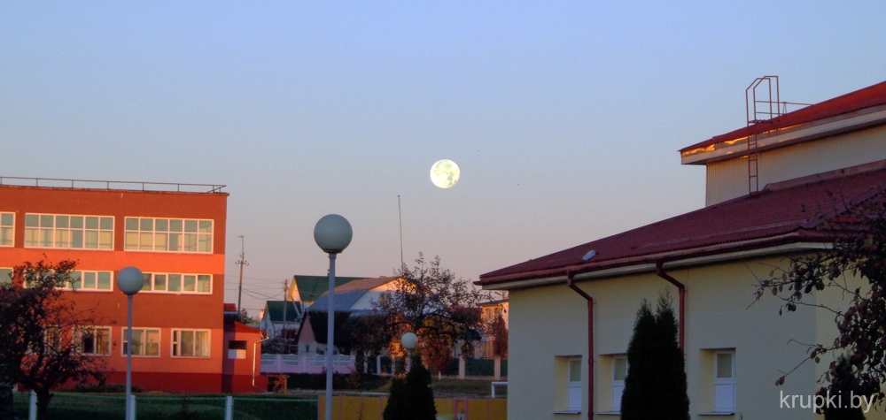 000_005.jpg