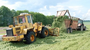 Задание по уборке трав первого укоса в Крупском районе выполнено на 67%