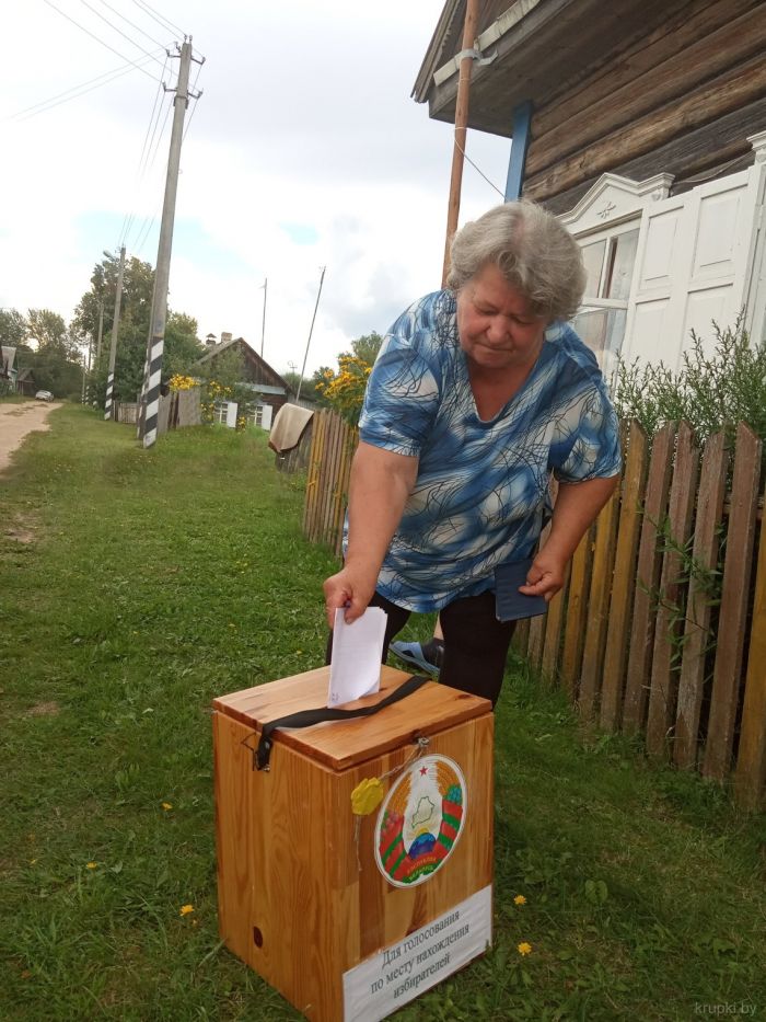 В Крупском районе созданы все условия для голосования на дому