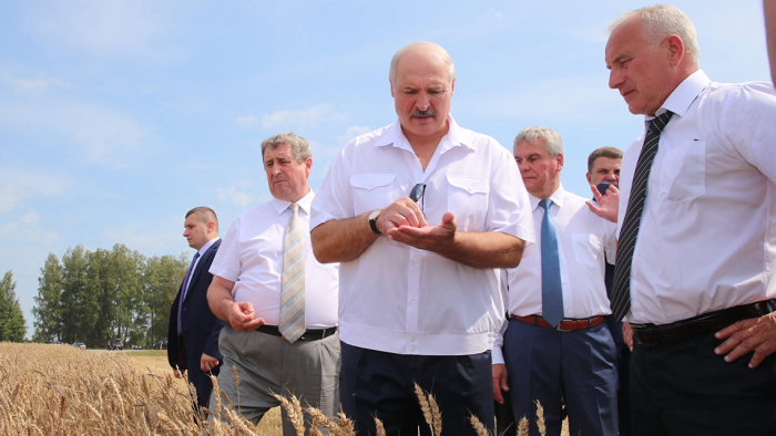 Тема недели: Лукашенко ознакомился с ходом уборочной в регионах
