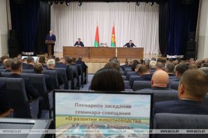Лукашенко поручил аграриям и ученым разработать эффективную технологию воспроизводства КРС