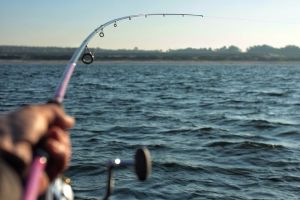 Рыболовные угодья открыты для активной рыбалки