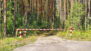 Продолжает действовать запрет на посещение лесов на территории Крупского района