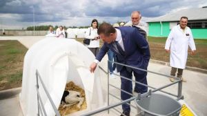 Развитие молочного направления в стране обсудили на новом комплексе в Борисовском районе