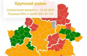 С 22 июня в Крупском районе введен запрет на посещение лесов