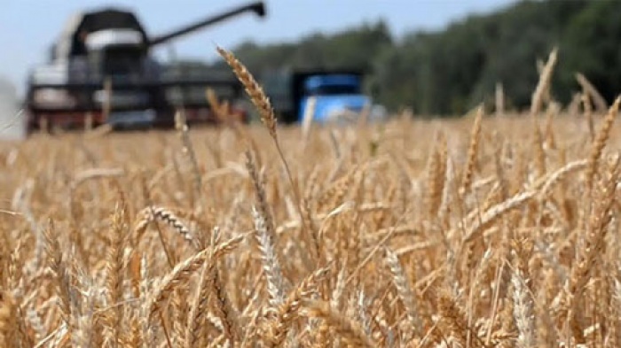При уборке зерновых необходимо точно и строго соблюдать требования безопасности