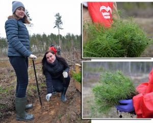 Крупская молодежь высадила деревья в память о героях Великой Отечественной войны