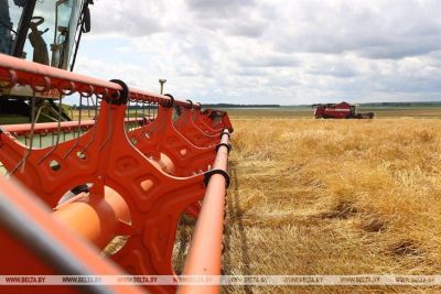 В Беларуси первые тысячники – аграрии Минщины