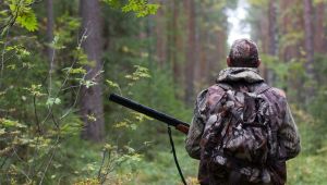 В Минской области за одну неделю выявлено пять случаев браконьерства