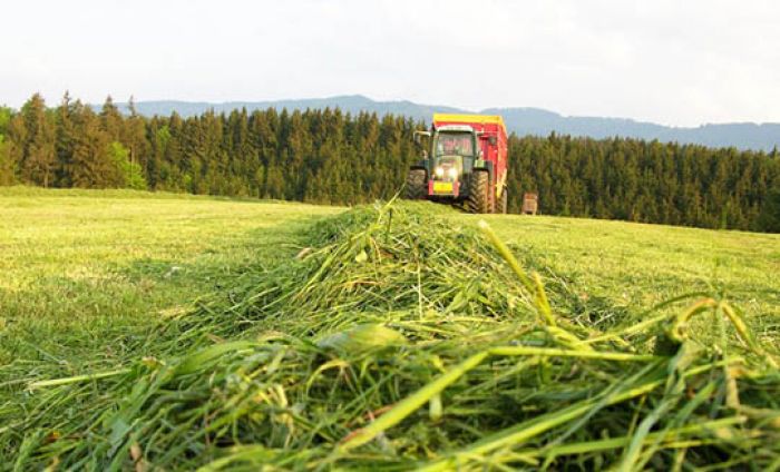 Второй укос трав в Минской области проведен на 37% площадей