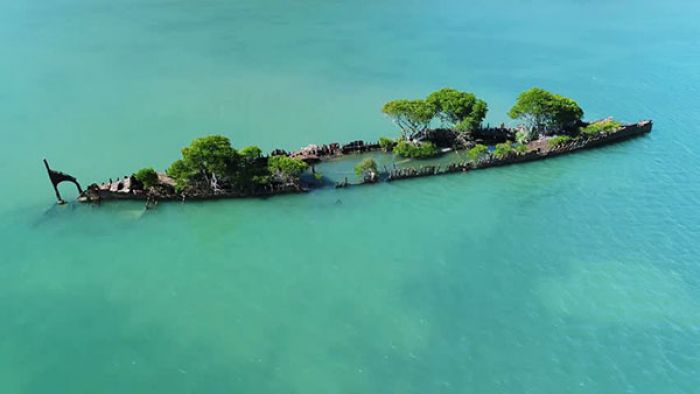 Заброшенный у берегов Австралии пароход, превратился в зеленый остров (видео)