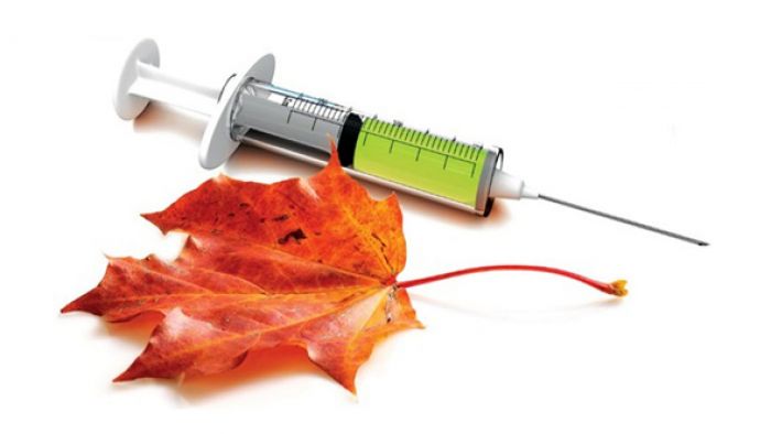 Для достижения максимального результата лучше всего делать прививку в октябре-ноябре