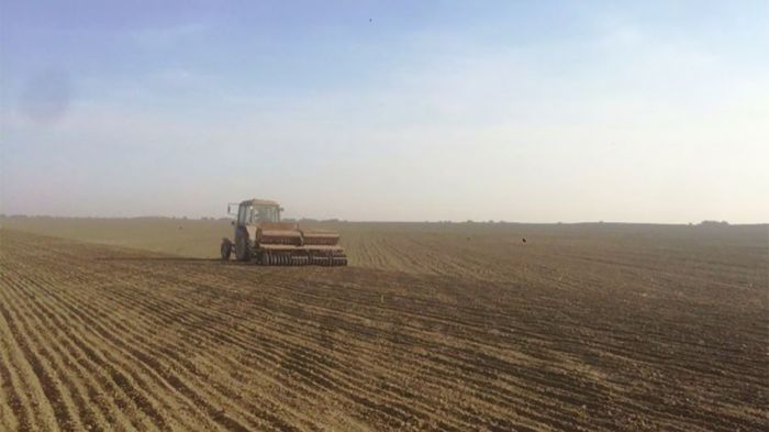 В Крупском районе ведется сев озимых зерновых – засеян 31%