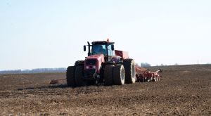 Ранними яровыми зерновыми и зернобобовыми крупские аграрии засеяли 3 285 гектаров