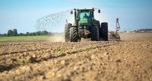 В Минской области посеяно 93% озимых зерновых культур