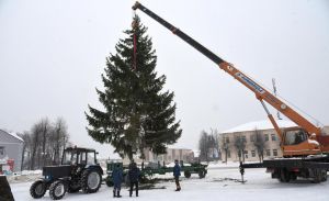 Новогоднюю ёлку установили на городской площади