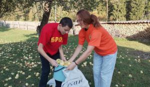 Волонтеры отряда «Доброе Сердце» Крупского РК ОО «БРСМ» оказали помощь пожилым людям