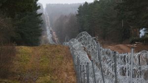 Депутат Европарламента заявляет, что в приграничных лесах Польши могут быть спрятаны сотни трупов беженцев-нелегалов