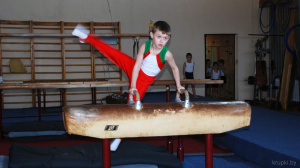 Спортсмены из Бобруйска приняли участие в открытом первенстве Крупской ДЮСШ по спортивной гимнастике