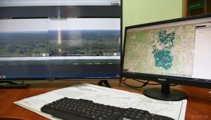 Во всех лесах Беларуси до 1 марта 2024 года установят системы видеонаблюдения