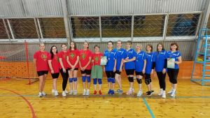 В Крупках провели районный турнир по волейболу, посвященный Дню матери