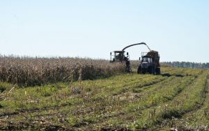 В сводке управления по сельскому хозяйству и продовольствию Крупского райисполкома появляются новые данные