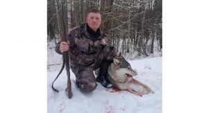 Охота на волков позволяет сохранить косуль, оленей и других животных