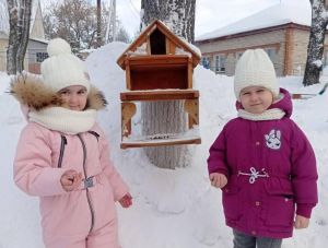 Воспитанники городского детского сада № 2 заботятся о птицах