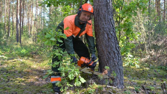 17 сентября – День работников леса. Поговорили с директором Крупского лесхоза