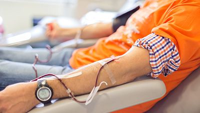 Во Всемирный день донора крови Крупская ЦРБ проведет прямую телефонную линию