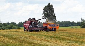 В Беларуси намолочено почти 6,6 млн т зерна с учетом рапса