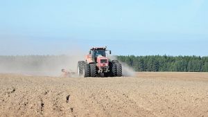 Осенне-полевые работы продолжаются на Крупщине. Уже засеяно 35% озимых зерновых