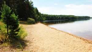 В Минской области с началом купального сезона откроется 110 мест массового отдыха у воды