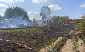 Работники Крупского лесхоза ликвидировали пожар около деревень Мачулище и Красновка