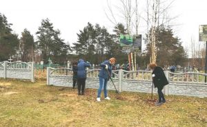 В ЖКХ Минской области рассказали о поддержании порядка на кладбищах