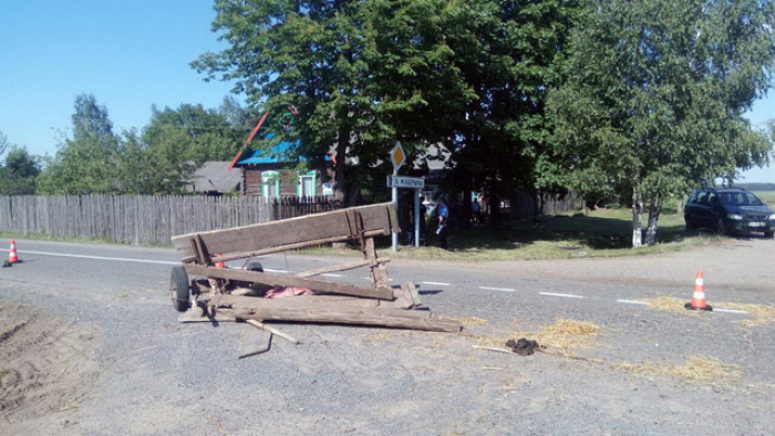 ДТП со смертельным исходом произошло в деревне Великие Жаберичи