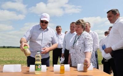 Президент Беларуси Александр Лукашенко поставил задачу увеличить валовой сбор зерновых колосовых за счет интенсивного ведения хозяйства