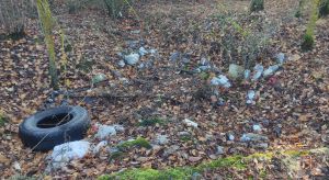 Возле деревни Лебедево устроили свалку мусора