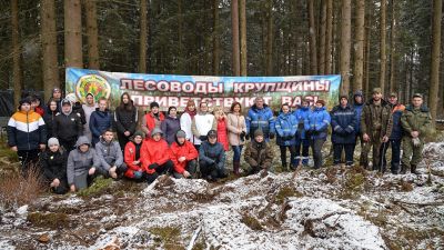 Участники акции «Неделя леса-2021» на делянке в Крупском лесничестве посадили почти 15 тысяч деревьев