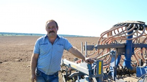 Все сельскохозяйственные организации Крупского района приступили к севу озимых зерновых