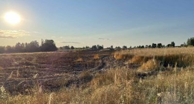 Вблизи деревни Мхерино-1 сгорел 1 гектар озимой пшеницы