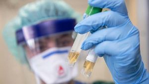 Широкое применение отечественной вакцины от COVID-19 планируется начать в Беларуси в 2024 году