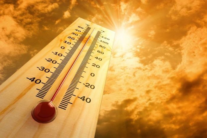 Объявлен красный уровень опасности на ближайшие дни из-за жары