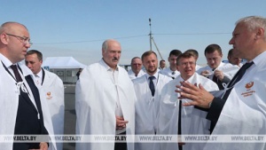 Лукашенко потребовал взять под жесткий контроль ситуацию с падежом скота
