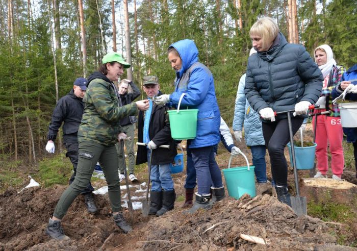 В Новокрупском лесхозе присоединились к акции &quot;Неделя леса&quot;