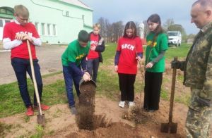 Холопеничская молодежь и сельисполком провели экологическую акцию