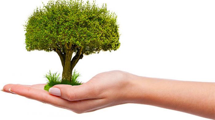2 апреля на Крупщине проходит «День озеленения»